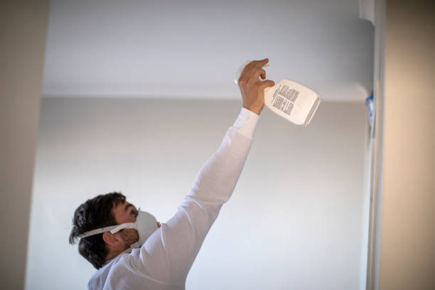 Best Black Mold Removal  in East Peoria, IL