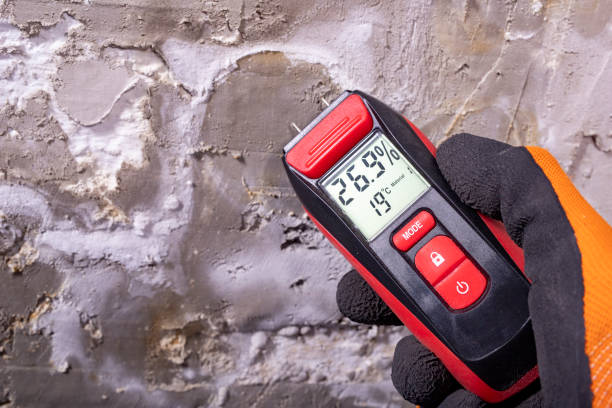 Best Mold Remediation  in East Peoria, IL