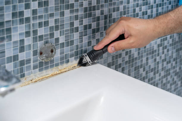 Best Toxic Mold Removal  in East Peoria, IL